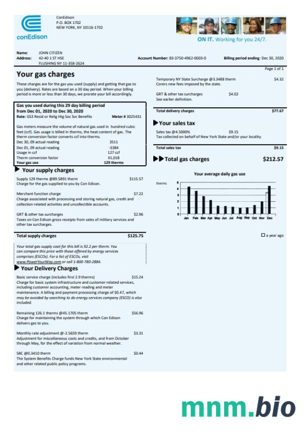 USA Con Edison gas rachunek za media szablon w formacie Word i PDF